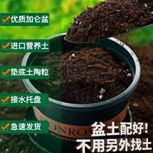 花盆带营养土加仑盆送土塑料盆和泥土种蔬菜绿植花卉月季多肉通用