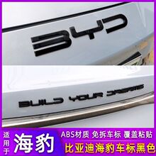 ���ǵϺ���0607dmi/EV��ɫǰ������BYD��ĸ��ͷ�����̺ڻ���