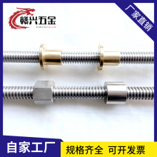 304不锈钢梯形丝杆螺杆丝杠 法兰铜螺母梯形圆螺母六角螺母T8-T48
