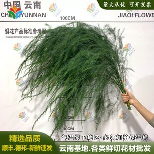 ���r�J�����~���r�������cɭϵ��Y�����J�S�J�n��DIY��횲�