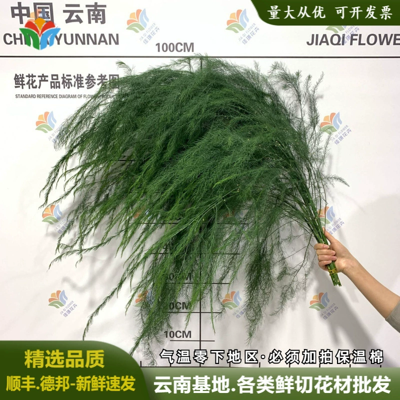 Свежие листья травы стрелки, цветы, свадебные украшения в лесу на открытом воздухе, цветы, реквизит для стрельбы из травы стрелки своими руками