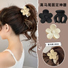 Ponytail, hairgrip, shark, crab pin, hair accessory, clips included, internet celebrity, new collection, wholesale