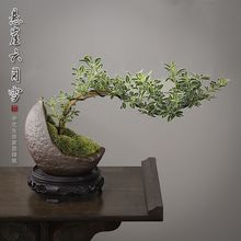 ����ѩ�辰���²����U���҃ȴ�̨С�Gֲ���k���Ҳ�ה[����������