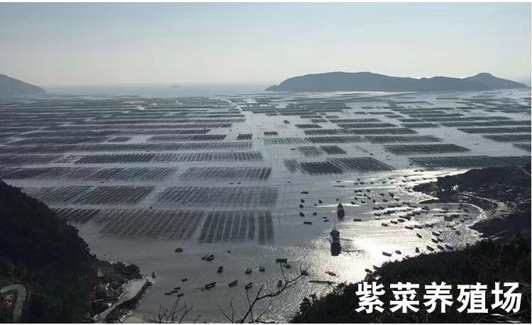 微信图片_20211025202032