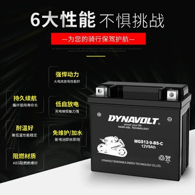 Fierce Lion Motorcycle Battery Car battery/battery