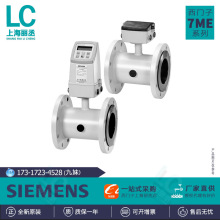 �����ӵ�������ƴ�����������/SITRANS F M MAG 1100F/����7ME61