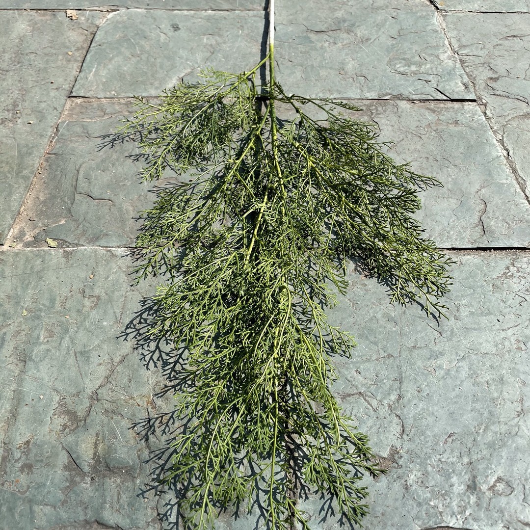 Boda suave techo planta verde techo hoja verde Mori salón de bodas decoración del Hotel Flor falsa venta al por mayor planta verde