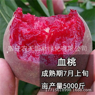 ѩ�������ش�������ˮ�������Ҙ������Ʒ�N�Ҙ����Ϸ������Nֲ