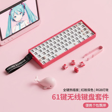 61�I�o���I�P�׼� ȫ�I��β�RGB����Cе�I�P3/5�_�S�wȫ�}�o�_