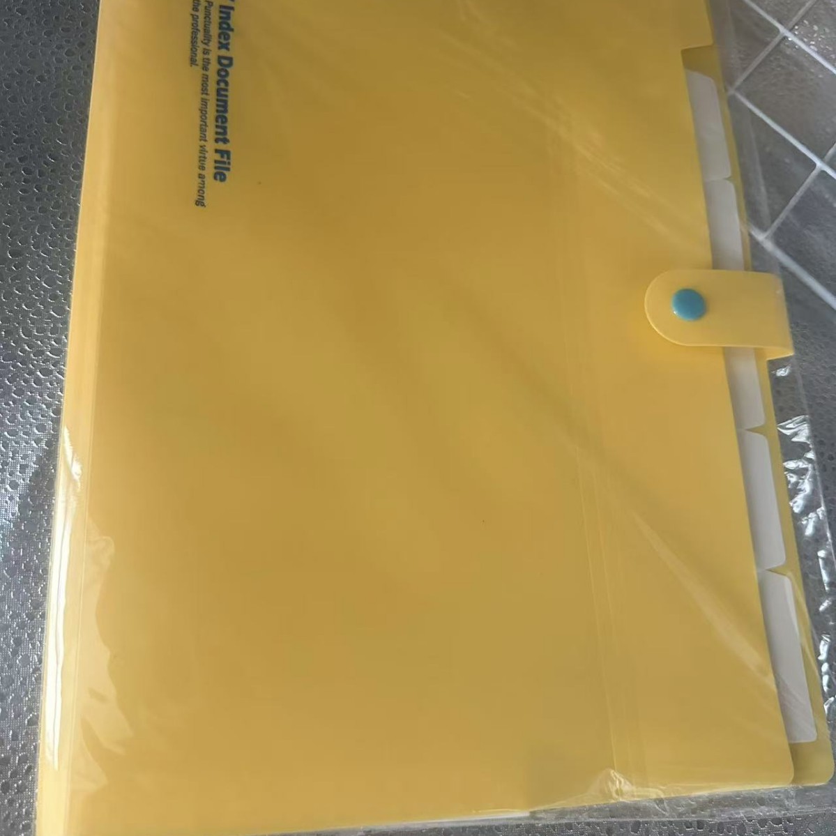 Bolsa de órgano de plástico A4 bolsa de órgano de múltiples capas Carpeta de inserción de negocios bolsa de archivo de múltiples funciones bolsa de archivo PP en stock