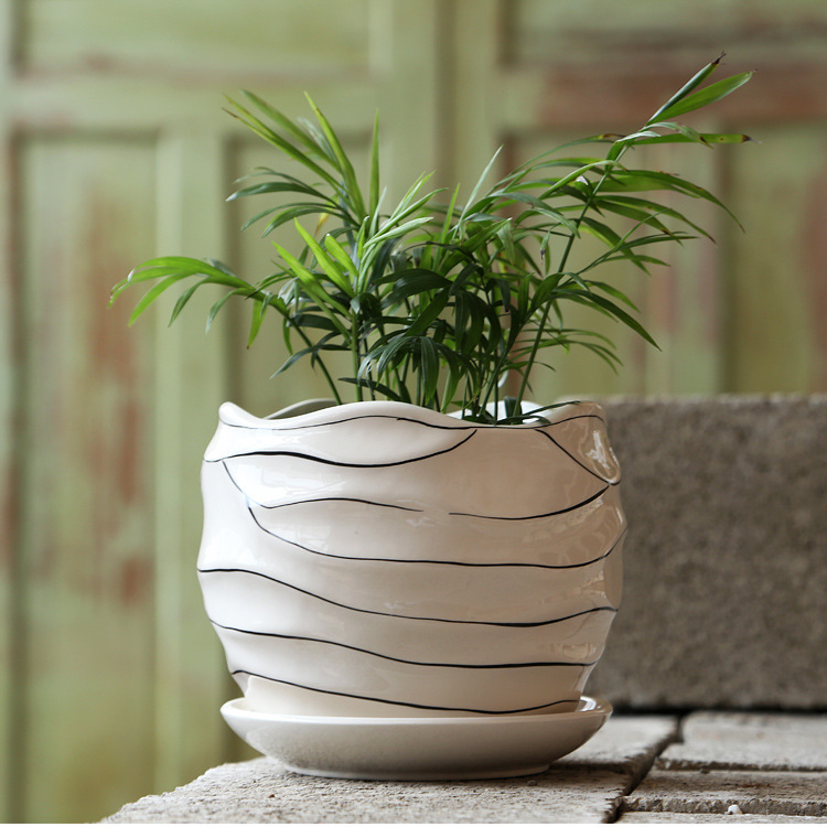 Factory Ceramic Flower Pot with Tray Wholesale Medium Creative Meat Plant Flower Pot Fleshy Flower Pot TEMU Labeling