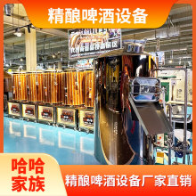 自制啤酒酿造机械 啤酒制作机器 加工鲜啤的设备 送技术配方