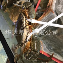 螃蟹蝤蛑青蟹绑扎绳 水产品扎带 自琐式一次性扎扣 绑带