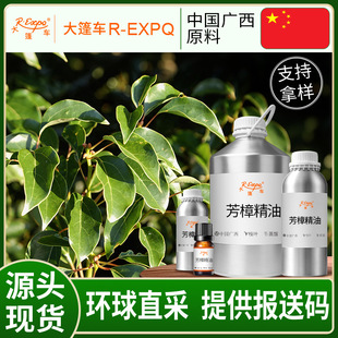 �������� Cinnamomum Camphora �η�����ԭ�����l�����o������{