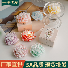 ����ܰ��޹Ϟ�T���l�ֹ���նY��ĸ�H�����ֶY�҃Ȅ�������Ϟ�T