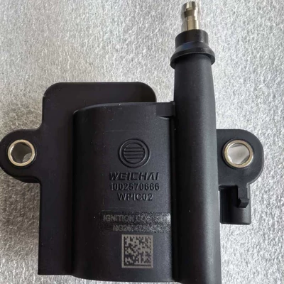 Other starting systems the manufacturer, special ignition coil