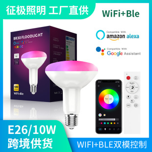 wifi�{���������ݟ��R�d�羳�Z��RGBW�߲�׃ɫ���� app�h�̿���