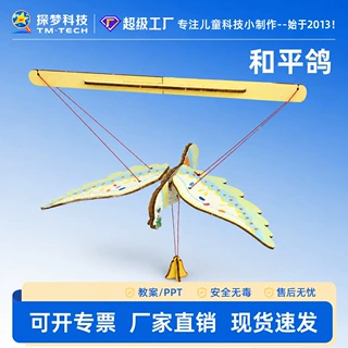 和平鸽木质拼装模型3D立体科技制作小学生科学实验DIY手工材料包