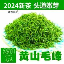 2024新茶叶绿茶黄山毛峰雨前一级春茶浓香型安徽毛尖罐装250g500g