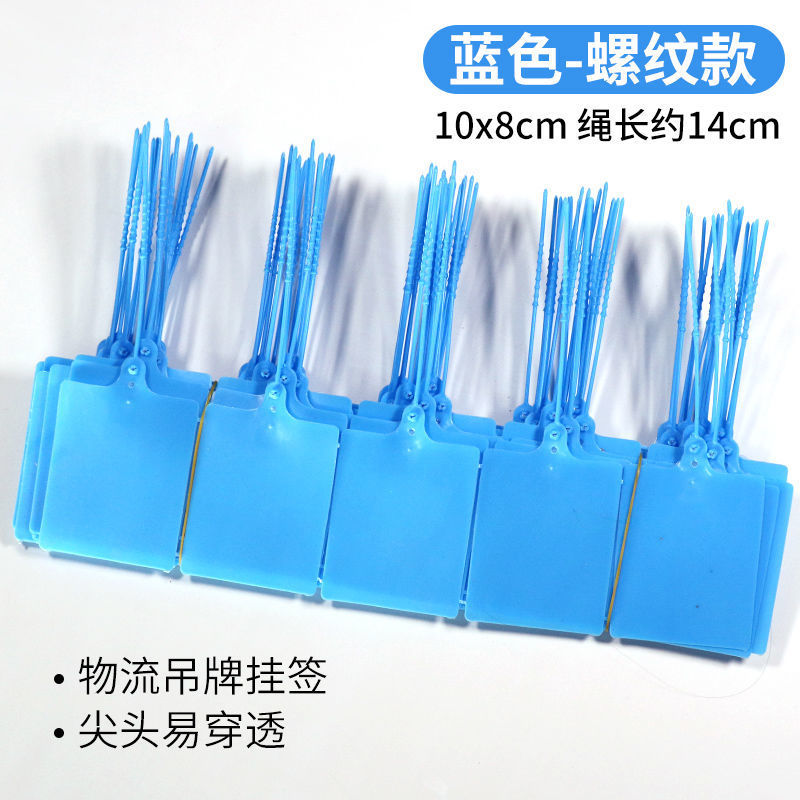 블루 1000정 [핫셀링]