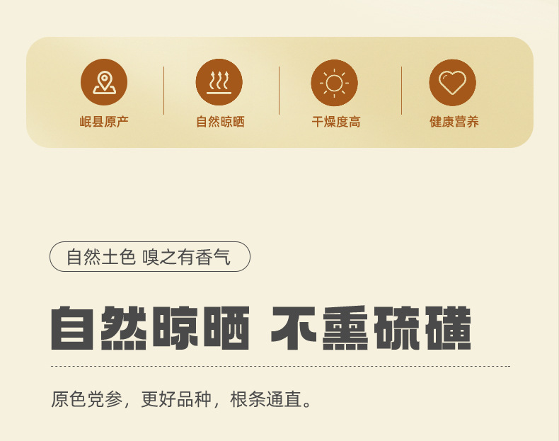 Dang Shen Codonopsis Root Slices Cut Segments Gansu Minxian Herbal Decoction Pieces overview