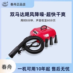 Chunzhou Dual-Motor Pet Hair Dryer Pet Shop Medium and Large Dog Golden Retriever Samoyed High-Power Silent Hair Dryer