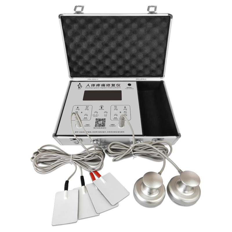 Fisioterapia bioeléctrica Meridian electroterapia instrumento moxibustión guía tee maestro a través del mundo control remoto DDS bioelectroterapia instrumento