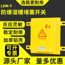 防爆方形溜槽堵塞检测器LDM-Y LDM-G DSII隔爆型堵料开关填料开关