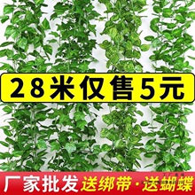 �����Gֲ���ٗl�G�~����bٻ������̨�ړ����������~