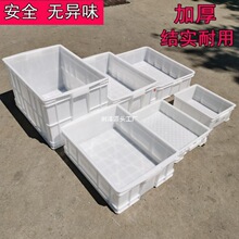 加厚白色塑料箱面团周转箱食品级带盖食品箱糕点面包转运箱养龟箱