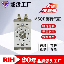 RIH MSQBDSMCͽٚ 180Ȕ[̨DX݆