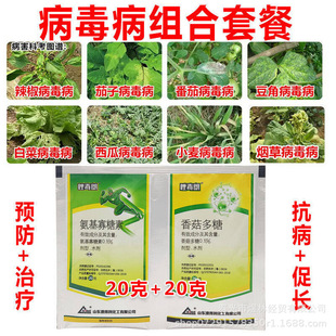 �������ײ�����������������t����ݮ�S�Ϸ����߲˹���С�~���~