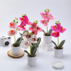 模擬胡蝶蘭鉢植え造花卸売クロスボーダーホット販売小さな盆栽装飾花と草 3 蝶の花