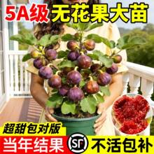 �o����������ش����ɫ�������ϱ���ͥԺ�̨�Nֲ�����ļ����B