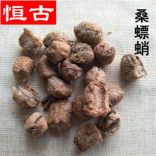 桑螵蛸中药材批发大货供应生桑螵蛸量大价优熟桑螵蛸