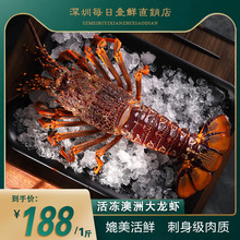 大澳龙鲜活冷冻澳洲大龙虾特大速冻火龙虾海鲜水产2-6斤一只装