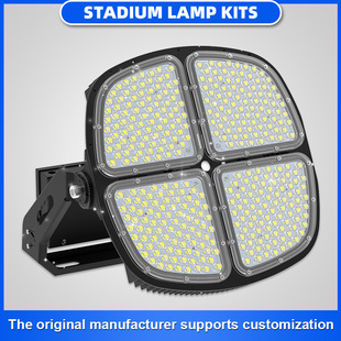 �¿����800WͶ����׼����ߑ�������������⚤led�ߗU��