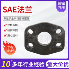 AFS-G/GFS-G/AFE/AFEA ISO6162  SAE�����Ʒ���Ӣ�ƹ����Ƹ���ѹ