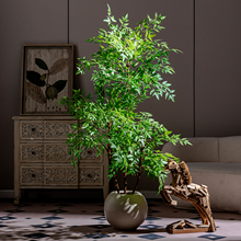 ?����������Gֲ��͏d�p��������Է����ٻ��٘��b[