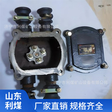 ������ͨBHD2-40/1140��660��-4T�V�ø����͵͉���|�Ӿ���