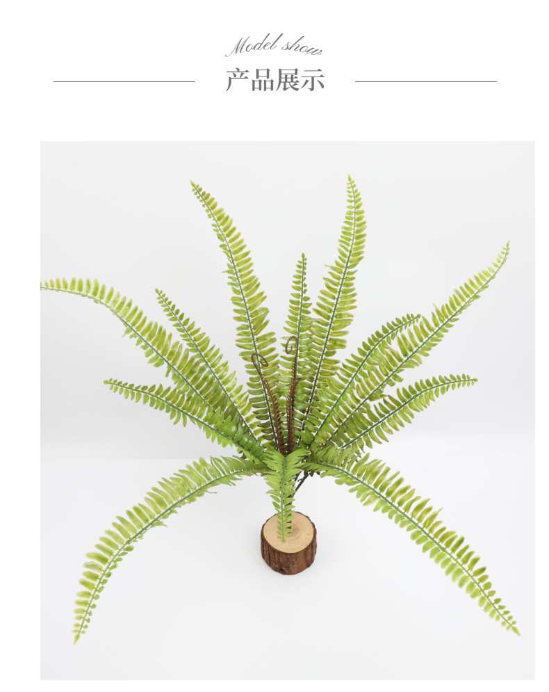 模特展示1 (2).jpg