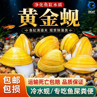 �S��͘�����~ʺ�S���ˮ�Ӱ���ˮ�����ˮ�^�p�~�坍�����^�p��