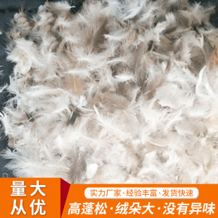 �] 2-4cmˮϴ����ë��о���|����� �Zë�坍�o��ζ��ë���l