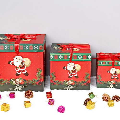 Caja de LH-5 (mochila roja y verde para ancianos)