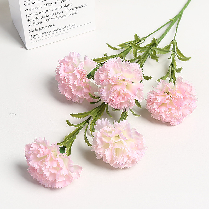 라이트 핑크 카네이션 5개