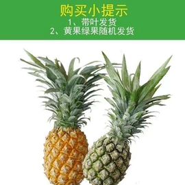 其他药食同源;花果茶;普洱茶