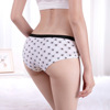 Pants, shorts, suitable for import, ebay, Amazon, wholesale