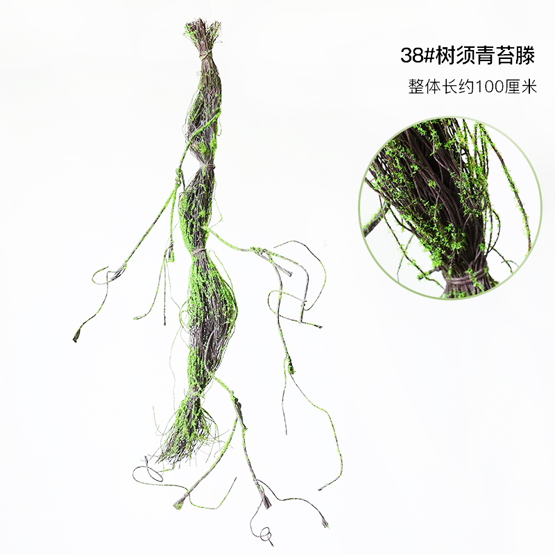 38#Tree Beard Moss-Dry Branch