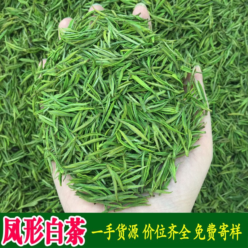 2026 New Tea Anji County Craft Pre-Qingming Green Tea Loose Leaf Tea Zhejiang Fengxing Milky White White Tea Wholesale