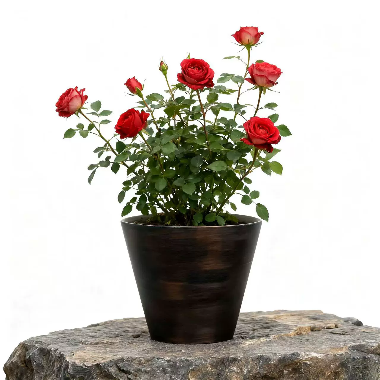 塑料复古花盆家用 绿萝植物盆栽加厚透气阳台客厅耐用种植桌面